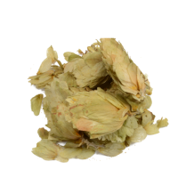 images/productimages/small/humulus lupulus hops.png